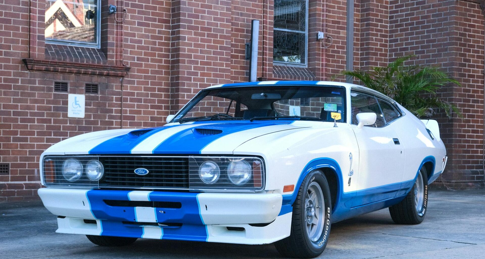 Rare Aussie Falcon XC Is the Cobra You've Never Heard Of