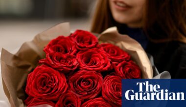 ‘Nothing says love like chemicals’: Valentine’s roses often covered in pesticides, testing finds | Valentine's Day