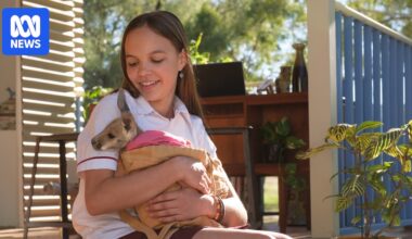 NT film industry on national stage as Kangaroo, Top End Bub and Journey Home win AACTA Awards