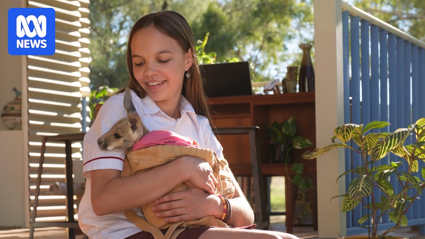 NT film industry on national stage as Kangaroo, Top End Bub and Journey Home win AACTA Awards