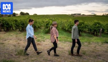 From succession planning to inherited debt, there's pressure and joy in taking on a family business