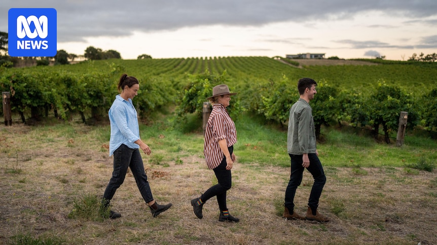 From succession planning to inherited debt, there's pressure and joy in taking on a family business