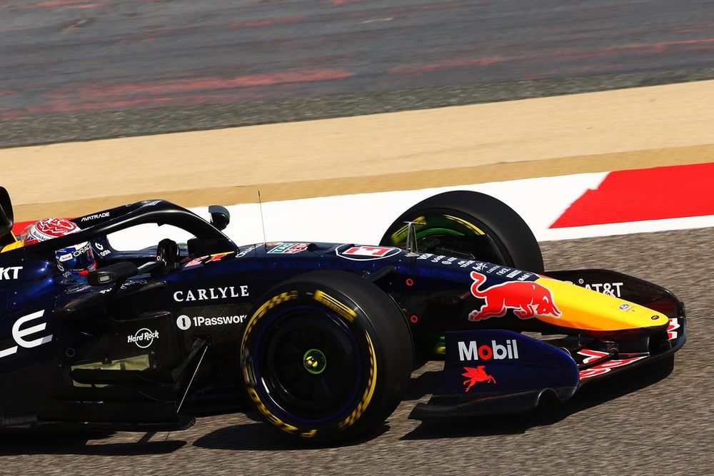 Max Verstappen, Red Bull Racing