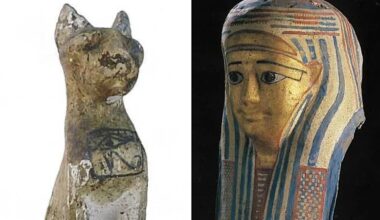 Police find man on island after bizarre museum heist