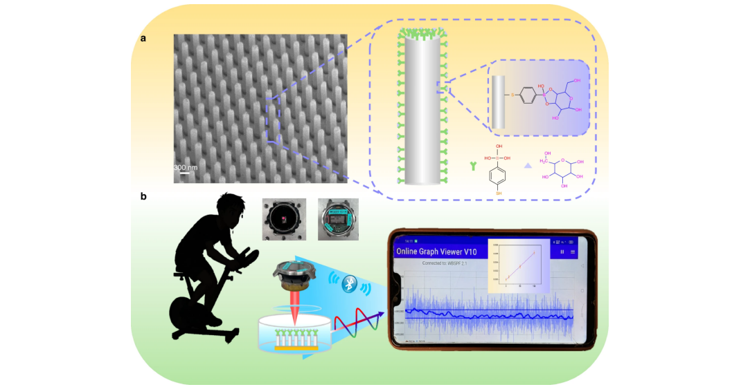 A wearable optical system for glucose detection
