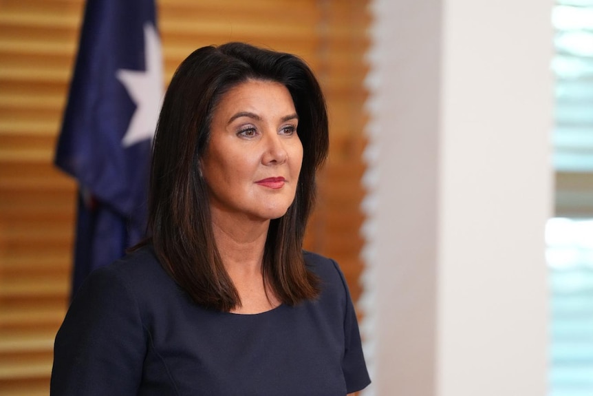 Angus Taylor and Jane Hume speak at a press conference.