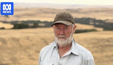 Dams and rivers run dry, forcing Victorian farmers to make tough decisions about their livestock