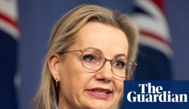 Migrants from Gaza and Somalia among those to be banned from Australia under unreleased Liberal plan | Australian immigration and asylum