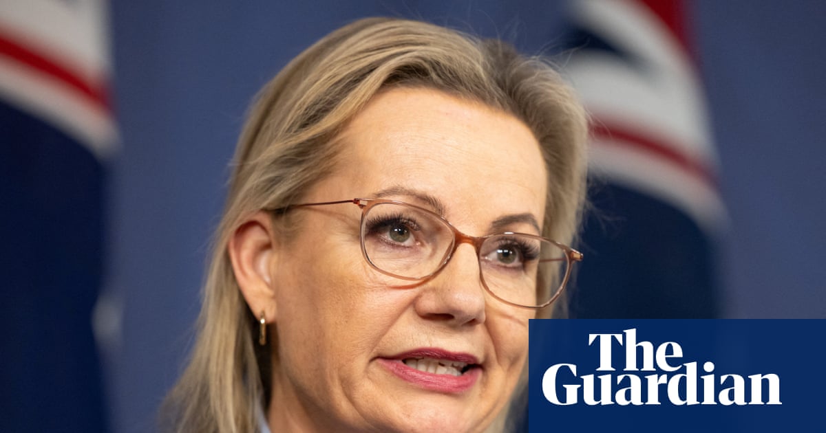 Migrants from Gaza and Somalia among those to be banned from Australia under unreleased Liberal plan | Australian immigration and asylum