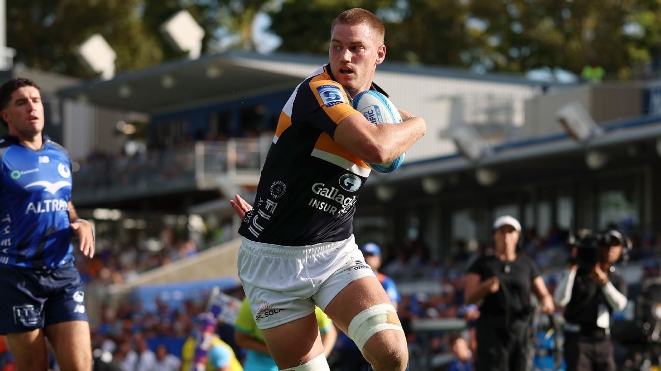 The forgotten Brumby who might be Wallabies' best 'hybrid' option