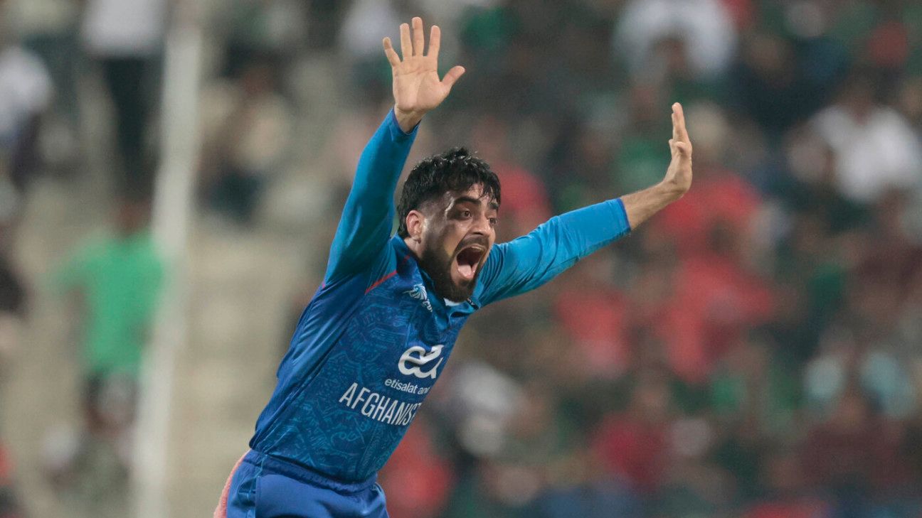Rashid Khan's 700th milestone, in numbers