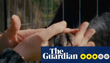 Collective Monologue review – sensuous zoo study foregrounds contacts between keepers and creatures | Movies