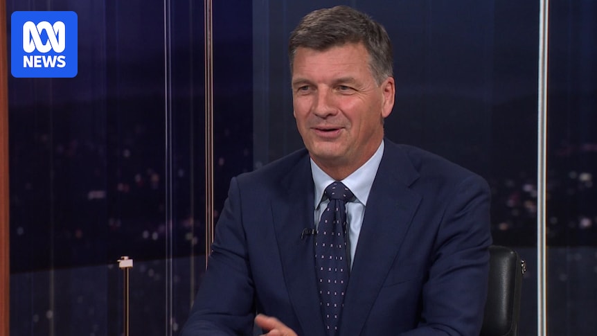 New Coalition leader Angus Taylor denies knowledge of Ley immigration policy