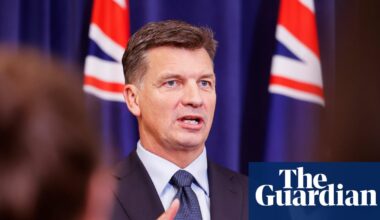 Angus Taylor moves to promote conservatives and sideline Sussan Ley allies as Liberal party veers right | Liberal party