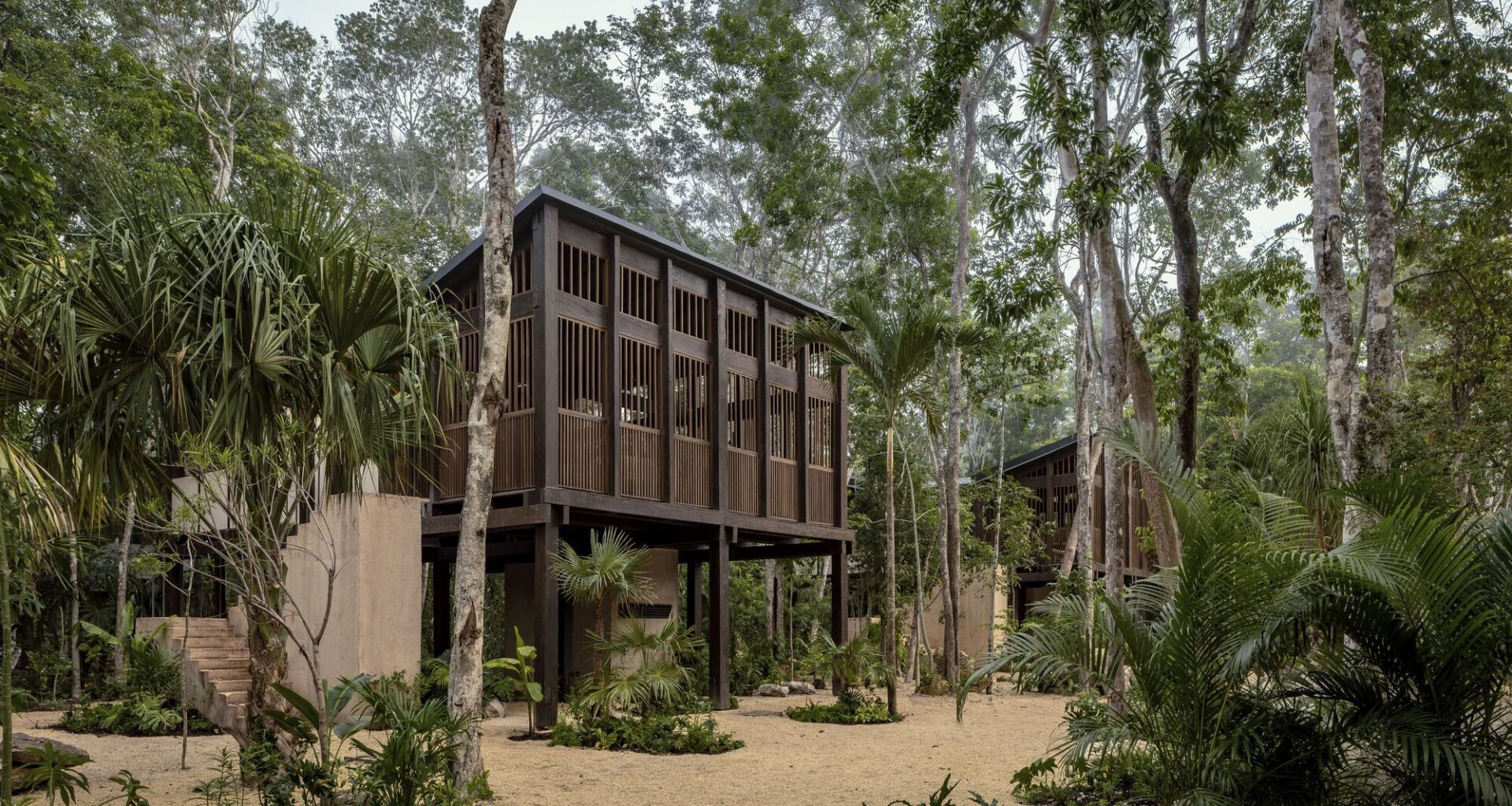 Frida Escobedo and Ma Yansong Among 11 International Architects Named 2026 AIA Honorary Fellows