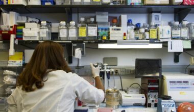 Children With Sleep Apnea Face Higher Risk Of Flu And COVID-19, New Study Finds