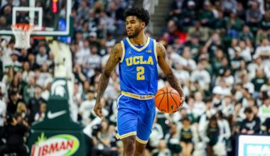 University of Illinois Logo