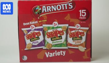 Former Coles' manager admits 'human error' over Shapes 'Down Down' pricing in federal court showdown