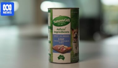 Coles manager moved product onto 'Down Down' promotion days after price hike to be more competitive