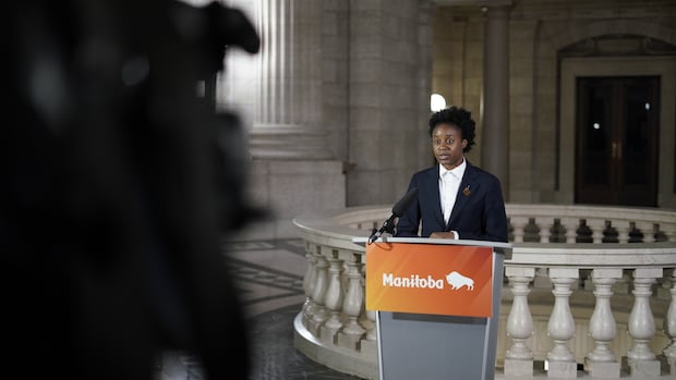 Extended-hour clinics to treat patients waiting in Winnipeg's ERs: health minister