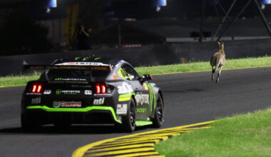 Kangaroo track invasion stops Sydney Supercars test