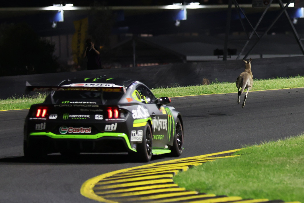 Kangaroo track invasion stops Sydney Supercars test