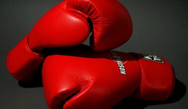 Man admits plotting to bribe juror at boxer's drug trial