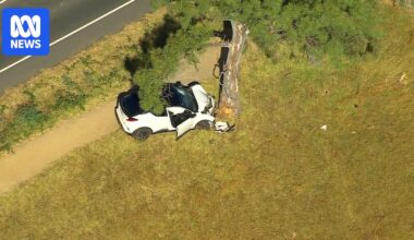 Teenager dies in hospital a week after being hit by car in Melbourne's south-east