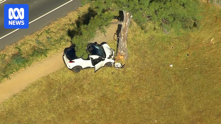 Teenager dies in hospital a week after being hit by car in Melbourne's south-east