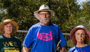 Community fury as wildlife crossing promise broken for $26b toll road