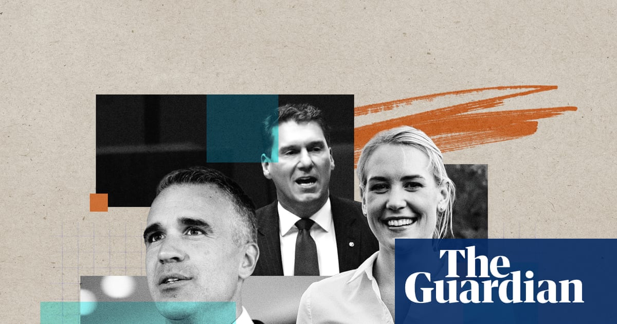 Can One Nation make it in South Australia? Liberal party fears peak humiliation at state election | South Australian election 2026