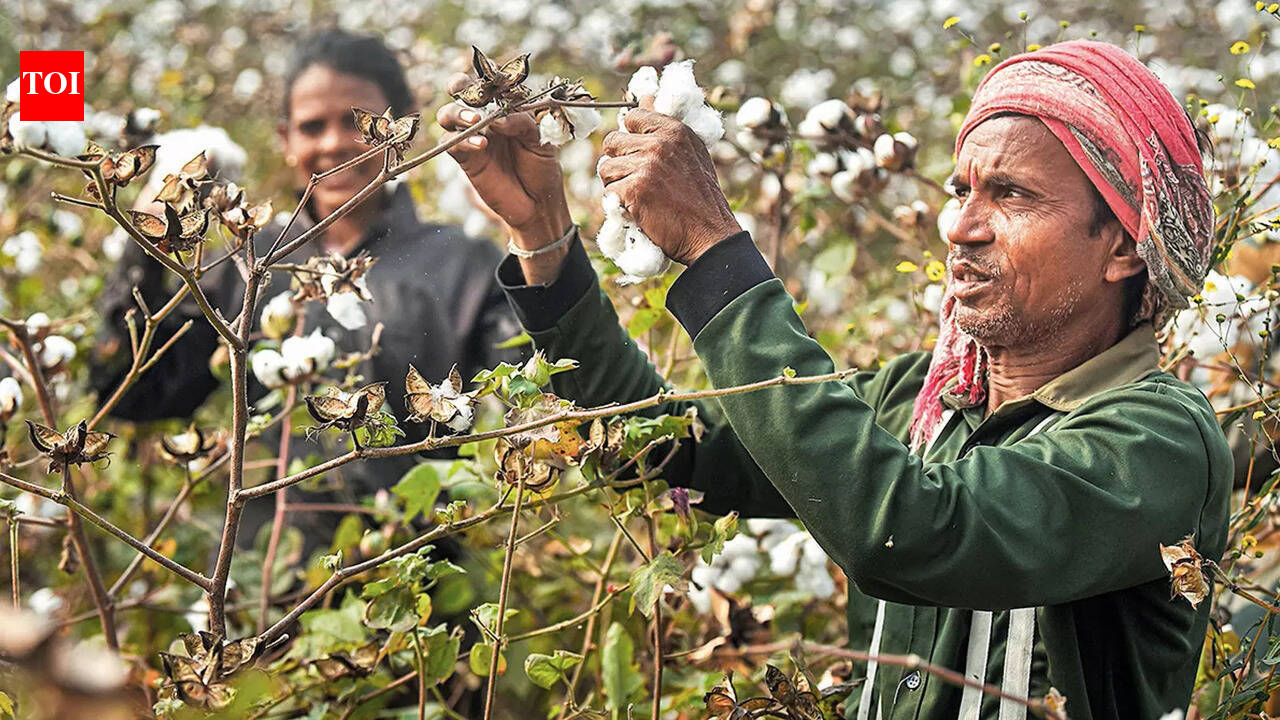 Why trade deals can’t help India become a major apparel exporter