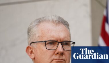 Tony Burke says Australia has few options to block return of 34 women and children from Syrian camp | Australian security and counter-terrorism