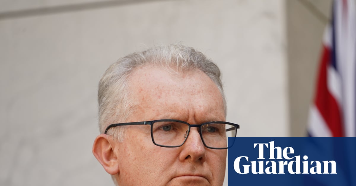 Tony Burke says Australia has few options to block return of 34 women and children from Syrian camp | Australian security and counter-terrorism