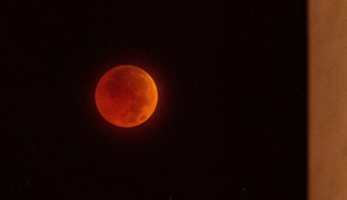 Victoria is set to witness a rare ‘Blood Moon’ this March