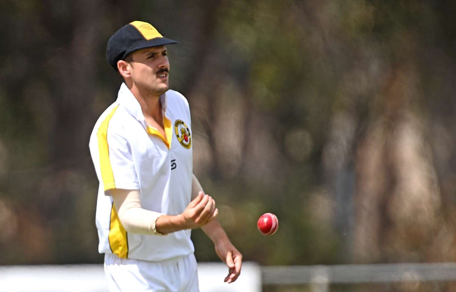 Finals set as Murray Valley Cricket Association wraps up regular season