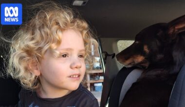 Gus Lamont's parents release public statement saying their lives have been 'shattered'