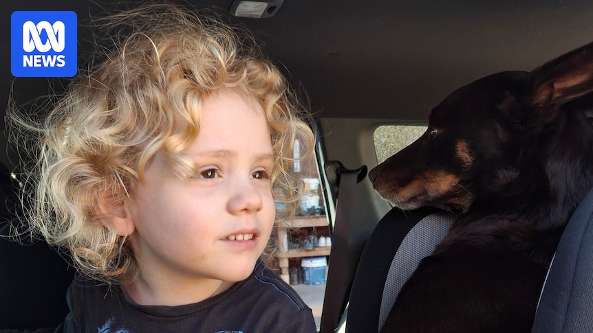 Gus Lamont's parents release public statement saying their lives have been 'shattered'