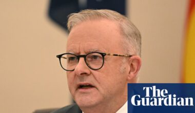 Albanese says One Nation doesn’t ‘represent working people’ and claims Pocock ‘seeks to promote grievance’ | Anthony Albanese