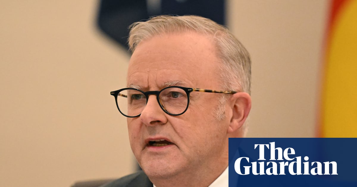 Albanese says One Nation doesn’t ‘represent working people’ and claims Pocock ‘seeks to promote grievance’ | Anthony Albanese