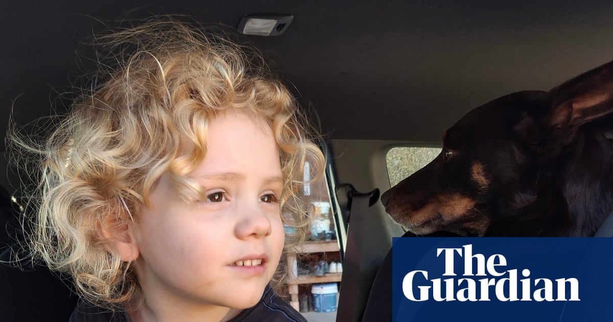 Gus Lamont’s parents appeal to public for information and say ‘every moment without him is unbearable’ | South Australia