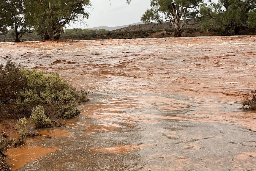 Part of regional SA during heavy rain.