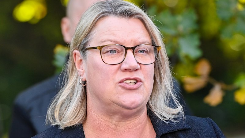 Upper house MPs prepare to block changes to the regulator