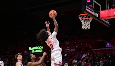 University of Maryland Logo