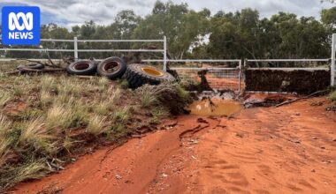 NT cattle stations assess flood damage, as rain in central Australia declared natural disaster