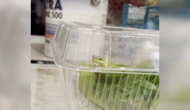 Man Goes To Make A Salad And Suddenly Sees 'Green Blob' With Eyes In His Lettuce