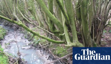 Yorkshire Water fined over £700,000 for repeated sewage releases | Water