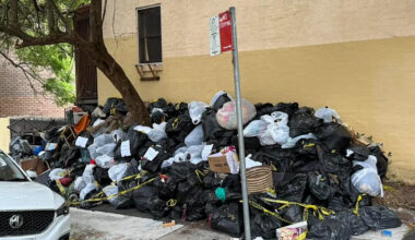 Residents demand council action as common bin issue grows out of control: 'Non-compliant'