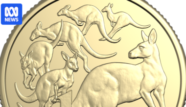 Royal Australian Mint unveils new limited edition $1 coin with subtle change to mark 60 years of decimal currency