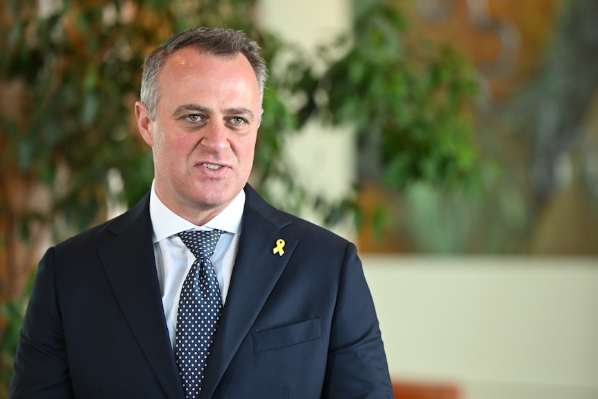 Tim Wilson speaks in parliament house. 